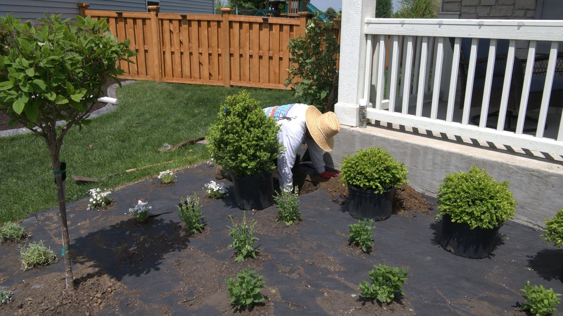 Landscape Design