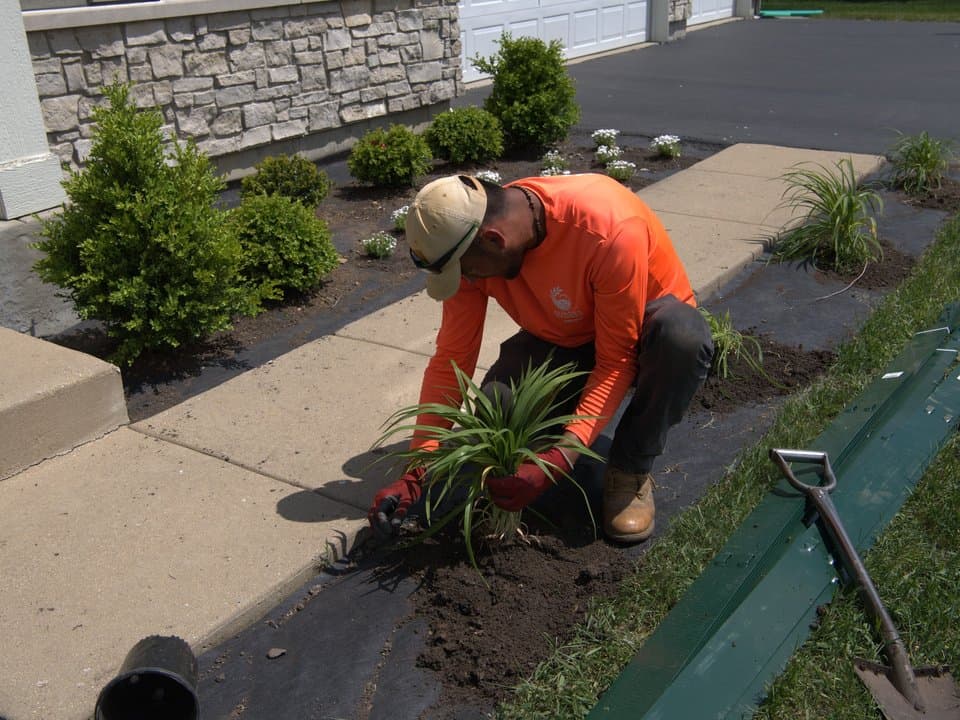 Landscape Design