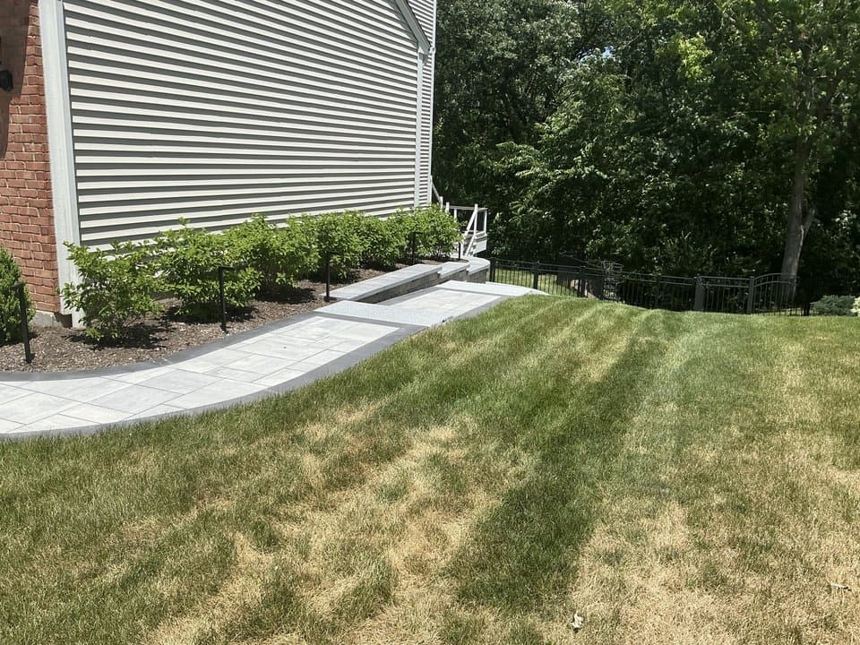 Backyard transformation