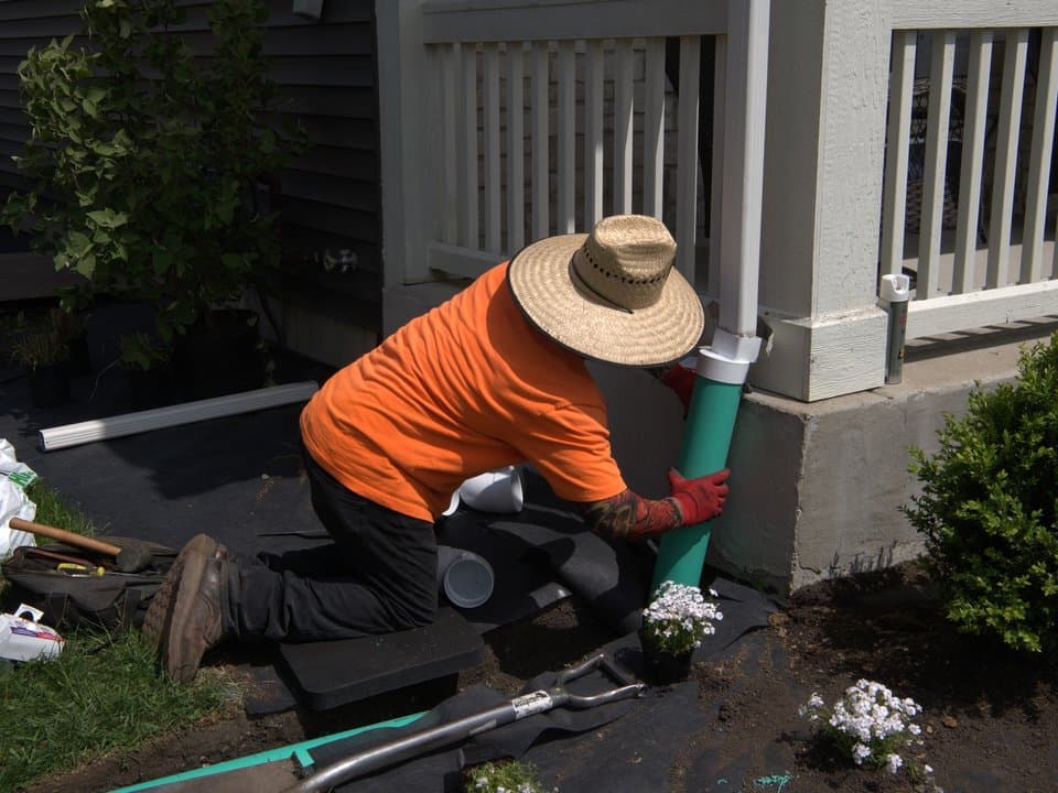 Wheaton spring refresh