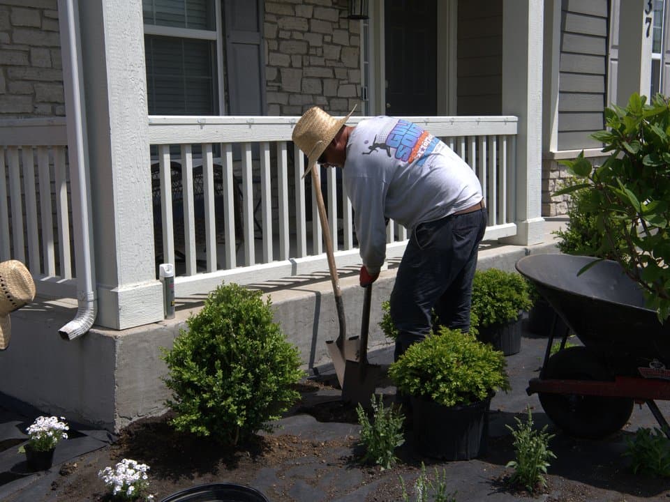 Seasonal Cleanup