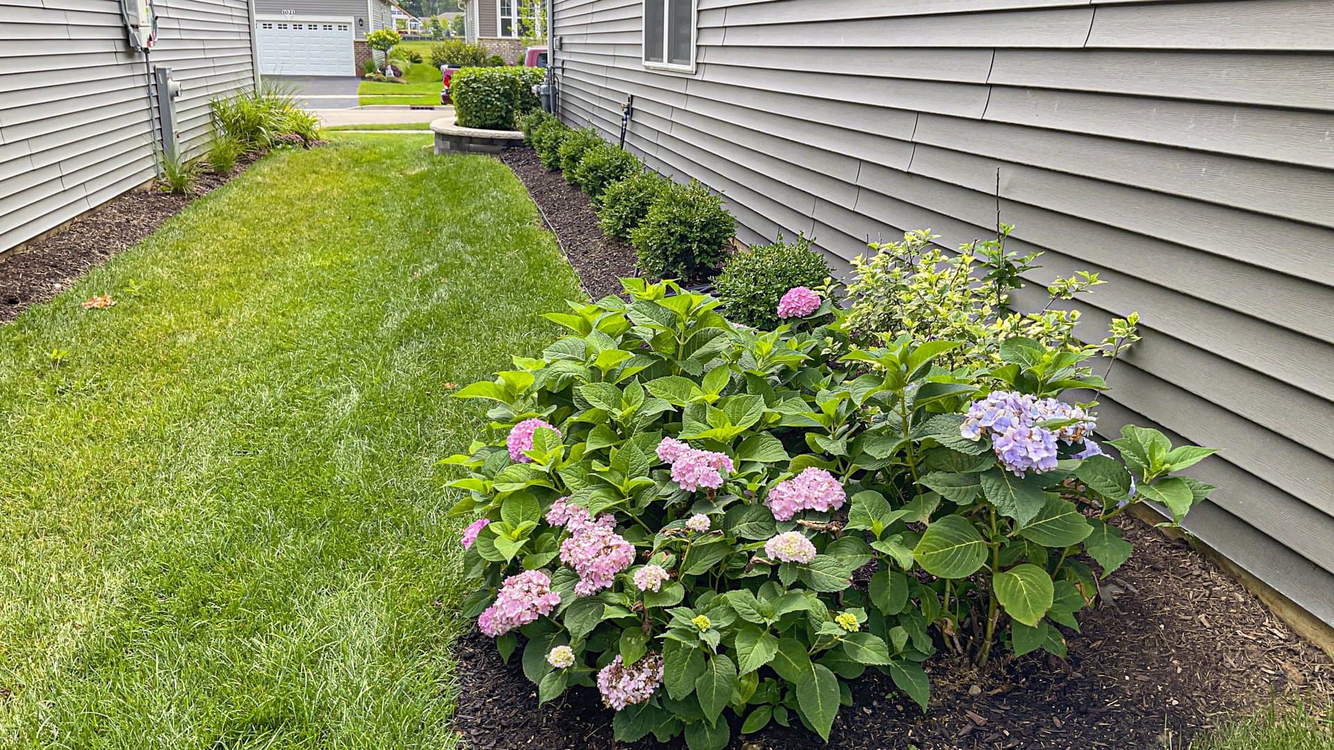 HOA Budget Planning: Preparing Your 2026 Landscape Budget