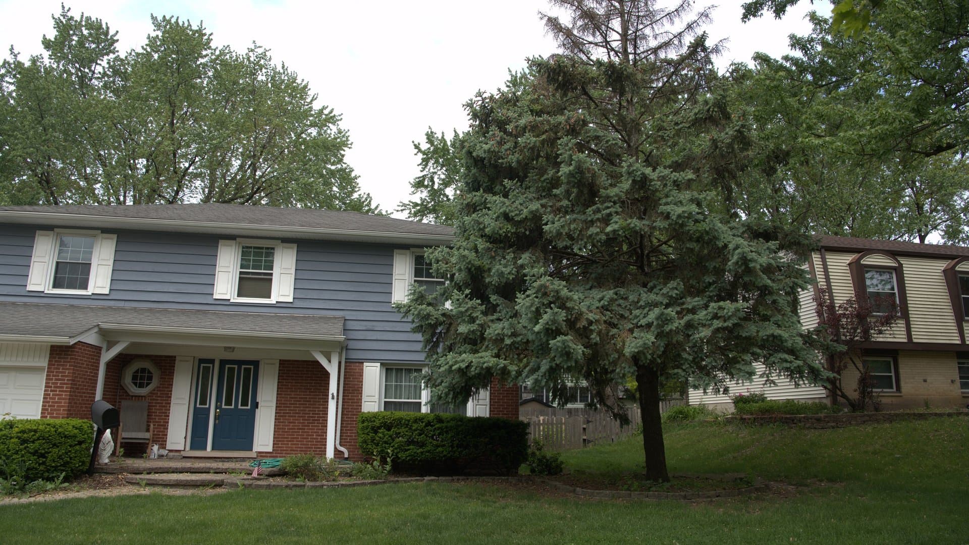 Tree Services